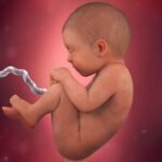 38. HAFTA – Doğum sancılarınız başlayabilir